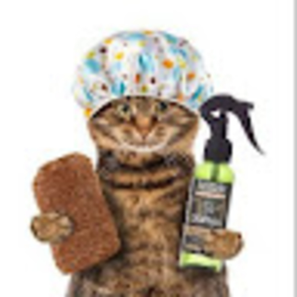 Meet your Posher, Fandelos